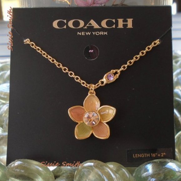NWT Coach Transparent Wildflower Necklace - Picture 1 of 6